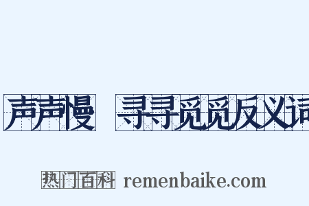 声声慢·寻寻觅觅反义词是什么意思的图片